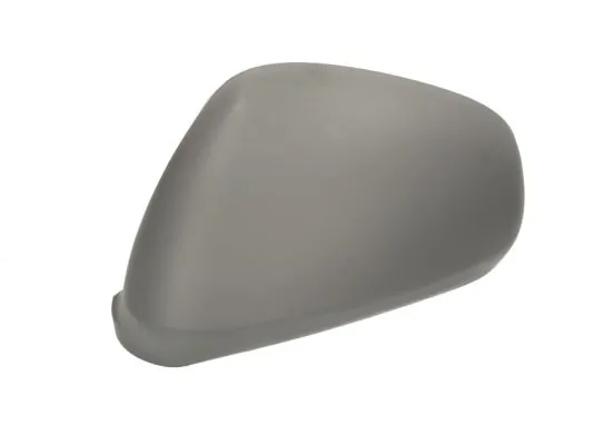 BLIC 6103-01-1311212P Housing, exterior mirror