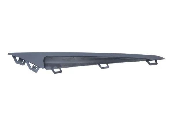 BLIC 6502-07-3555925P Trim/Protection Strip, bumper