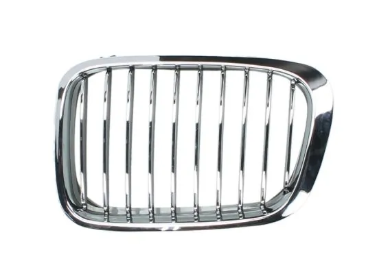 Radiator Grille 6502-07-0061991P