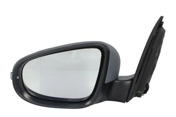 Exterior Mirror 5402-04-1121589P