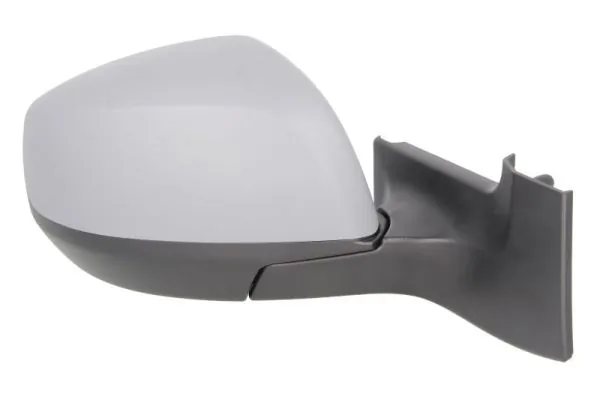 BLIC 5402-04-2001968P Exterior Mirror