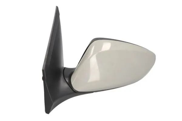 Exterior Mirror 5402-20-2001411P
