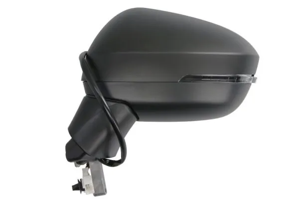 BLIC 5402-16-2556310P Exterior Mirror