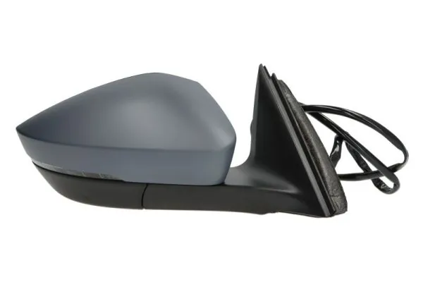 BLIC 5402-43-1319311P Exterior Mirror