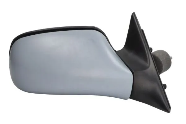 Exterior Mirror 5402-04-1138231P