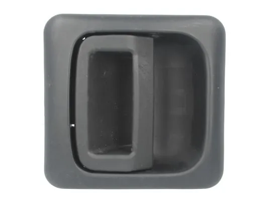 Exterior Door Handle 6010-07-031405P