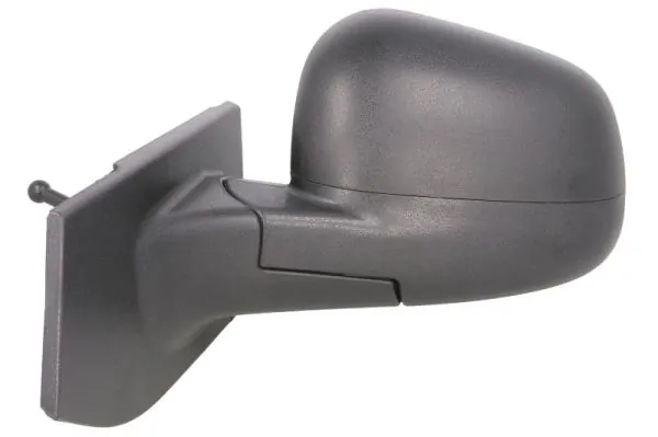 BLIC 5402-56-010361P Exterior Mirror