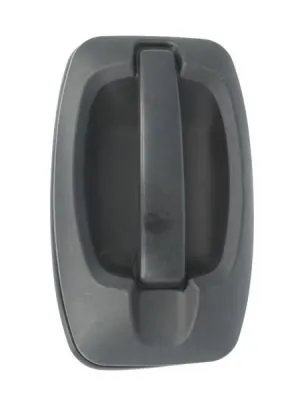 Exterior Door Handle 6010-07-038410P