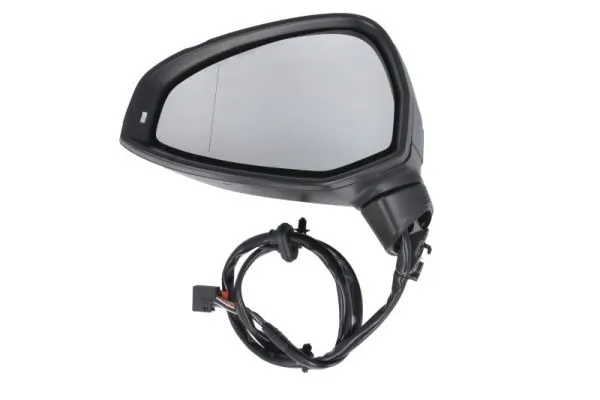 Exterior Mirror 5402-25-0054316P
