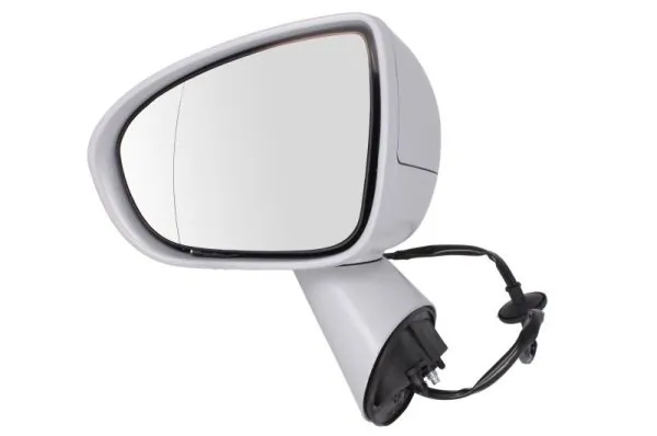 Exterior Mirror 5402-04-2002001P