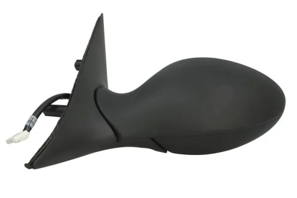 Exterior Mirror 5402-04-1125273P