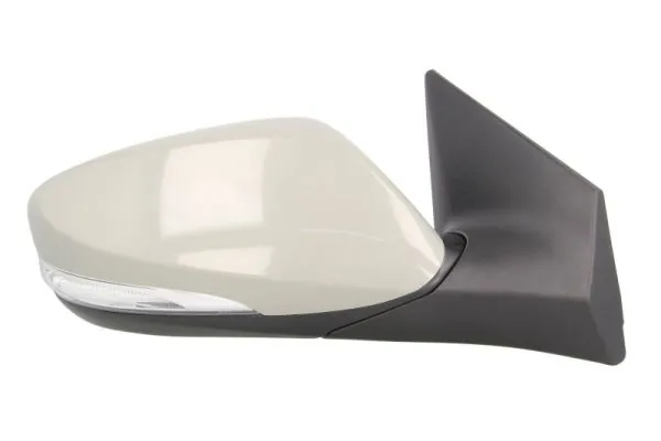 BLIC 5402-20-2001374P Exterior Mirror