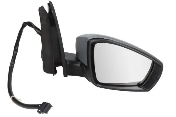 Exterior Mirror 5402-04-1111116P