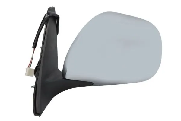 BLIC 5402-19-2002501P Exterior Mirror