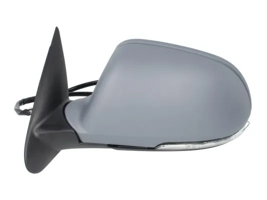 Exterior Mirror 5402-04-1111523P
