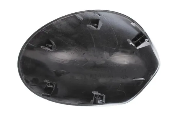 BLIC 6103-05-2001843P Housing, exterior mirror