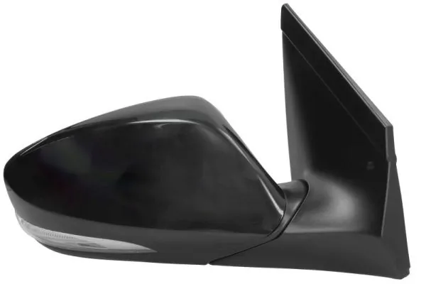 BLIC 5402-20-0542313P Exterior Mirror