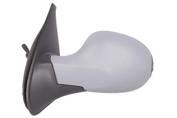 Exterior Mirror 5402-09-2002209P