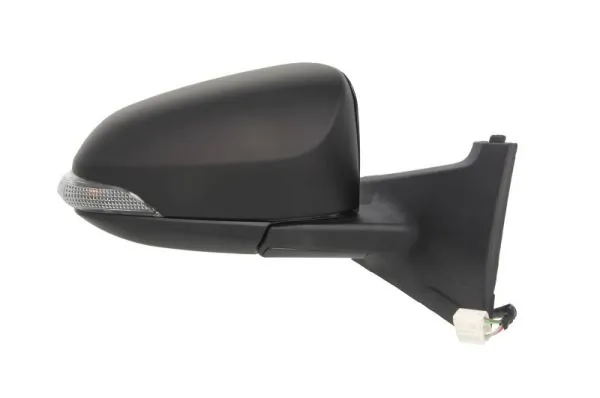 Exterior Mirror 5402-19-2002556P