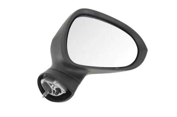 Exterior Mirror 5402-10-2002286P