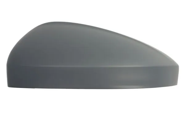 Cover, exterior mirror 6103-01-1609312P