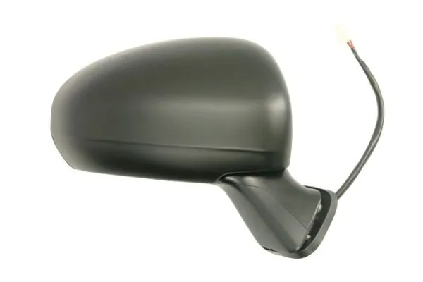BLIC 5402-19-2002508P Exterior Mirror