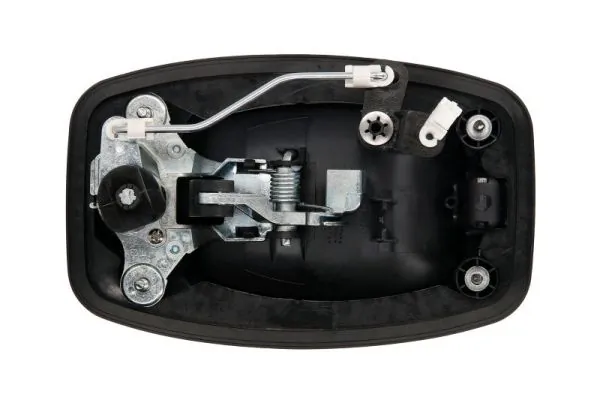 Exterior Door Handle 6010-07-038417PP