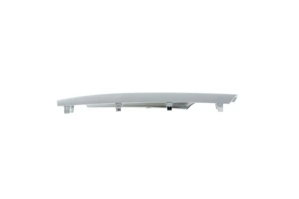 BLIC 6502-07-3580913P Trim/Protection Strip, bumper