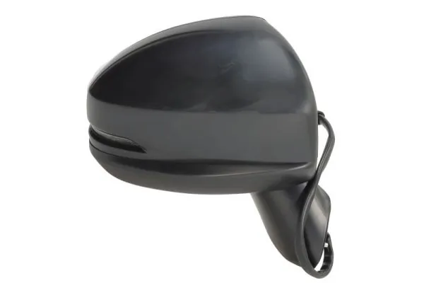 BLIC 5402-12-0499313P Exterior Mirror
