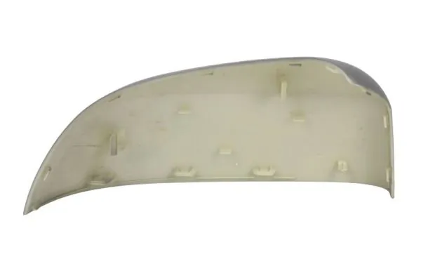 BLIC 6103-05-2001059P Housing, exterior mirror