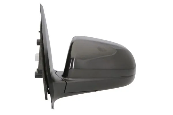 BLIC 5402-56-005361P Exterior Mirror