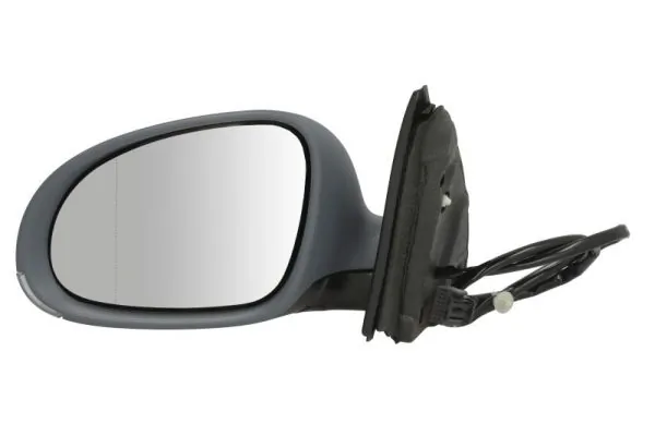 Exterior Mirror 5402-04-1121121P