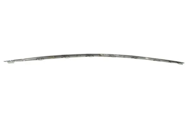 BLIC 5703-05-3519971P Trim/Protection Strip, bumper