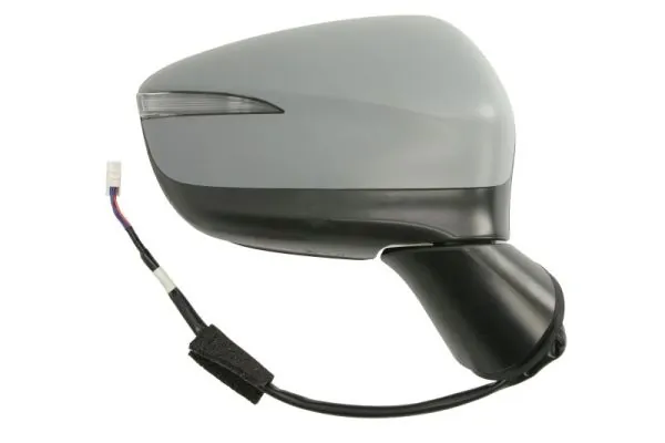 BLIC 5402-14-1905317P Exterior Mirror