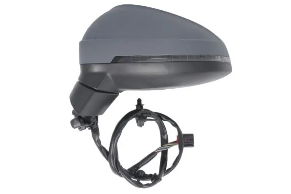 Exterior Mirror 5402-25-0054316P