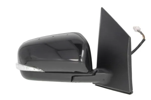 Exterior Mirror 5402-09-2002166P