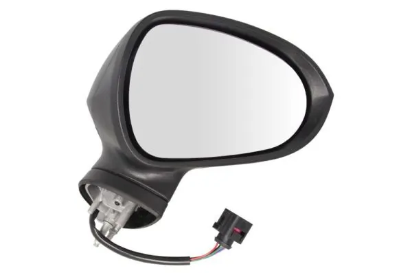 Exterior Mirror 5402-10-2002294P
