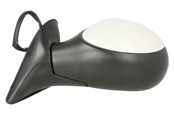 Exterior Mirror 5402-04-1111339P