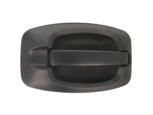 Exterior Door Handle 6010-07-038402P