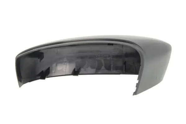 BLIC 6103-10-2002313P Housing, exterior mirror
