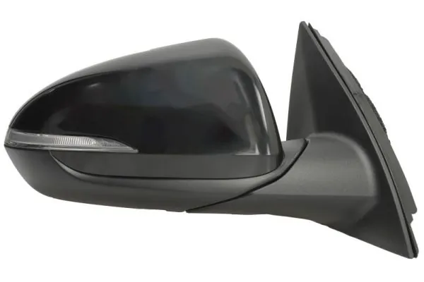 BLIC 5402-20-1966321P Exterior Mirror