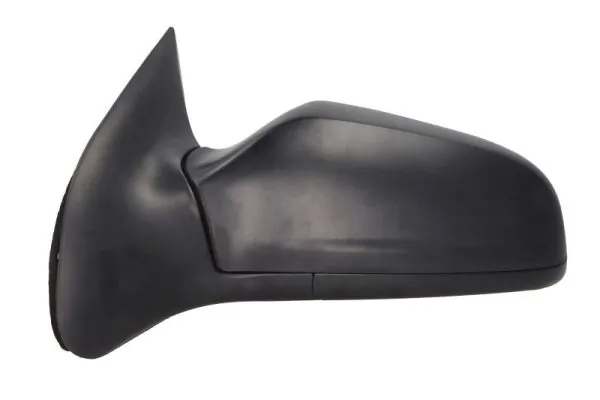 BLIC 5402-04-1125242P Exterior Mirror