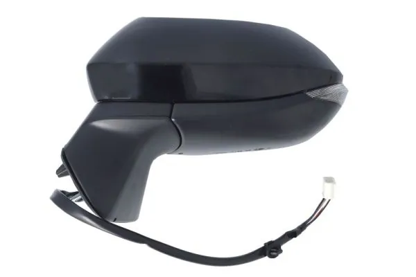 BLIC 5402-19-2505310P Exterior Mirror