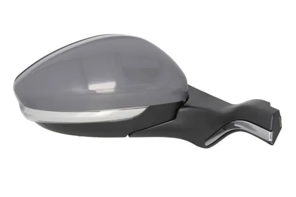 Exterior Mirror 5402-08-2002058P