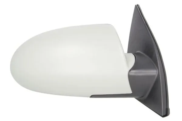 Exterior Mirror 5402-20-2001360P