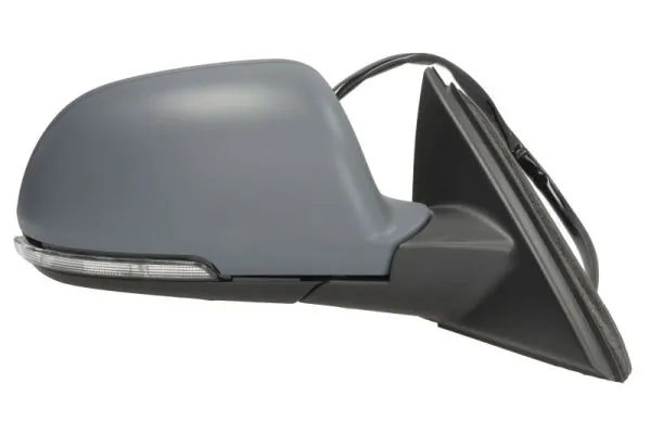 BLIC 5402-43-1318311P Exterior Mirror