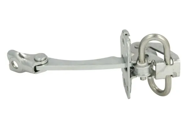 Door Check 6004-00-0039P