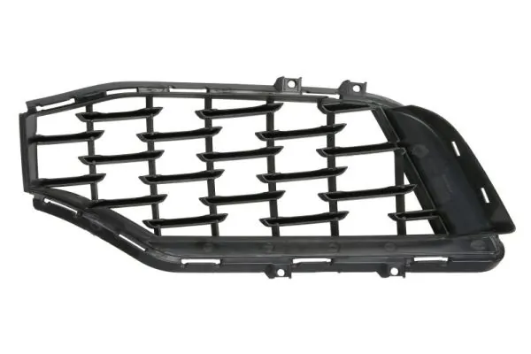 BLIC 6502-07-6901996P Radiator Grille