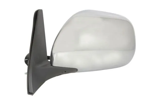 BLIC 5402-19-2002503P Exterior Mirror