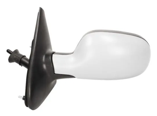 Exterior Mirror 5402-04-1137219P